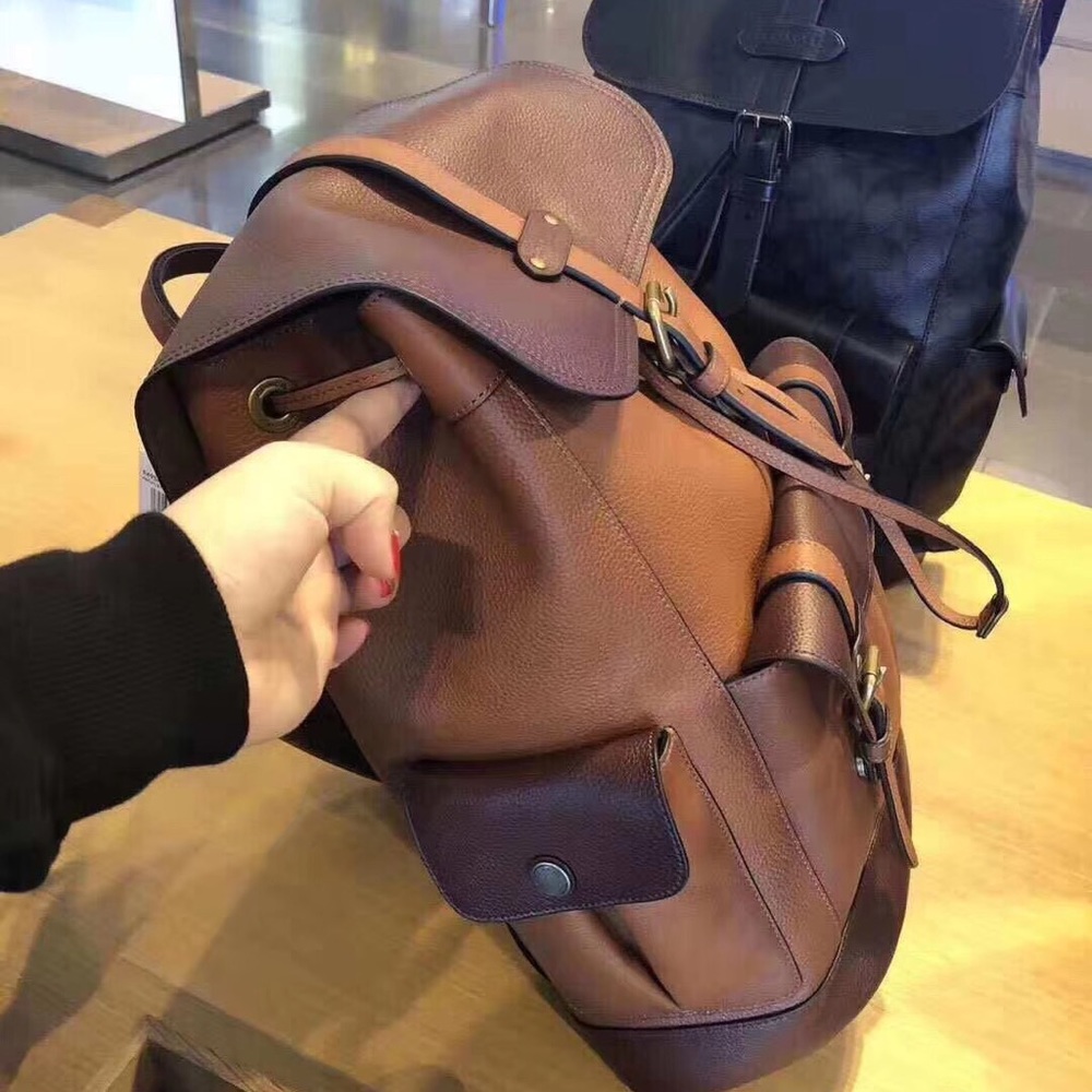 Coach Hudson Backpack In Colorblock Dark Brown - Picture 3 of 7